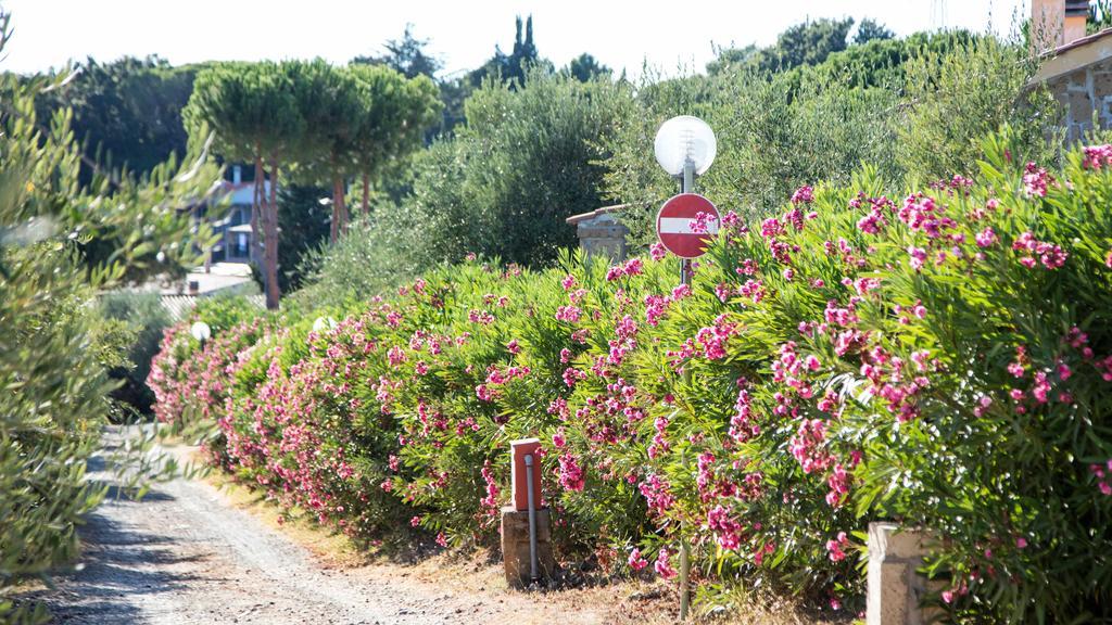 Il Borgo Centro Vacanze Guardistallo Eksteriør billede